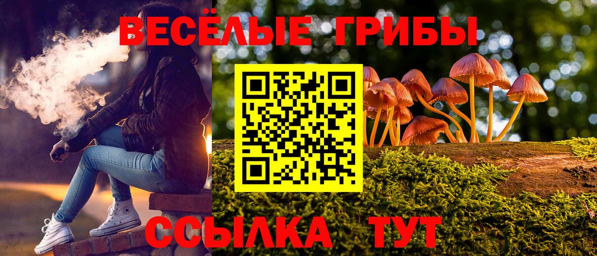 Псилоцибиновые грибы GOLDEN TEACHER Сунжа