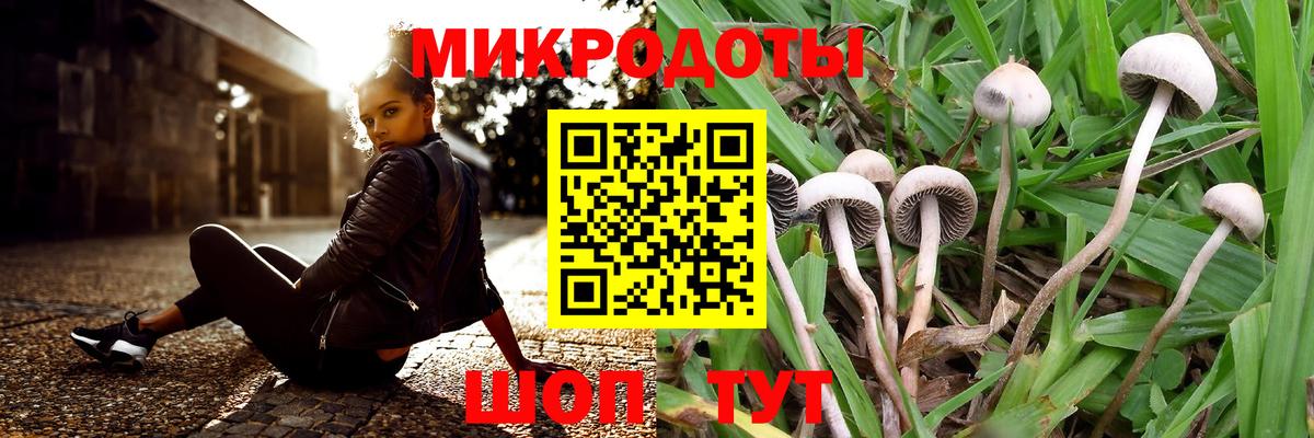 Сунжа  Галлюциногенные грибы мухоморы  Вход с VPN 